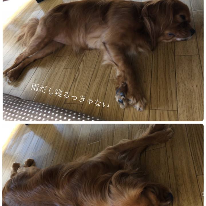 11251cdf afcc 4389 851a e1a1ba27c11b 1530918582622