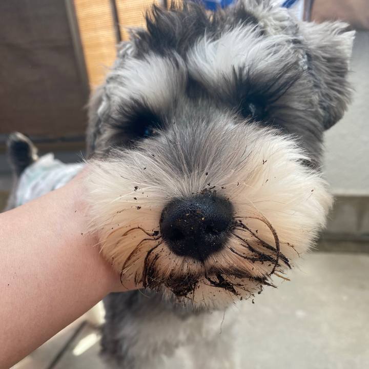 11255d02 72d2 47b1 aec6 82dfc07f1982 1572840741443