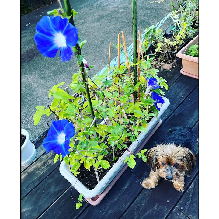 11256d9f 267a 45b9 b9d5 6bb228977984 1692827193407