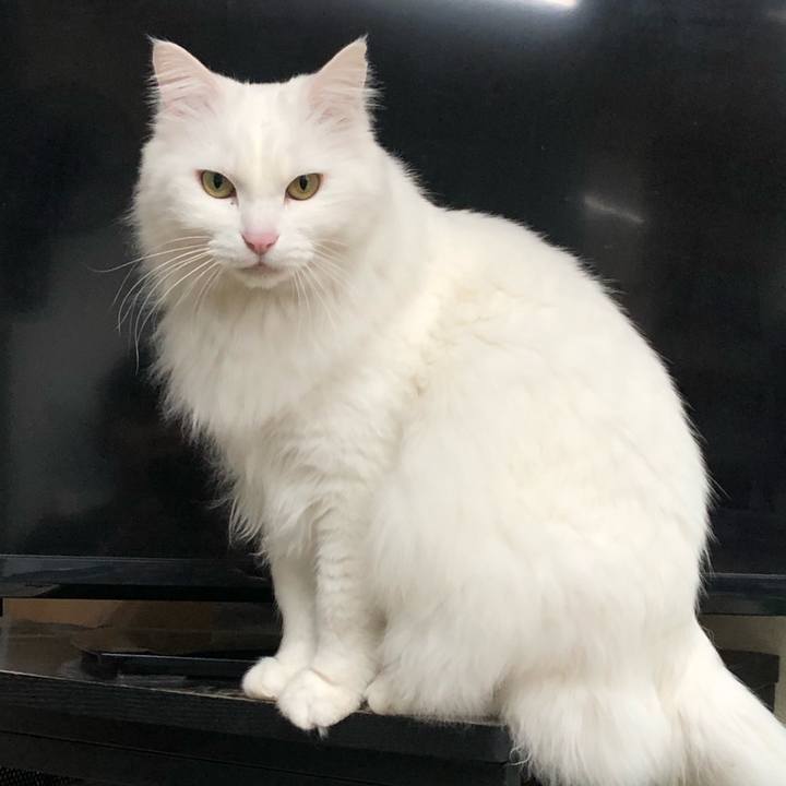 11257046 eac3 4329 99b2 8a3c02e26359 1581139526779