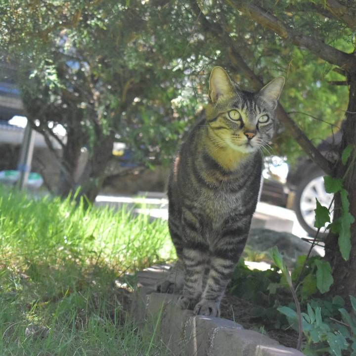 11258ffe 8c1b 4c07 8089 886ca3f99824 1526779128461