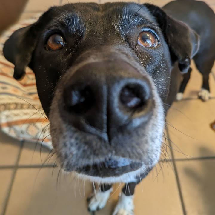 1125b4c4 bbde 4acc b6e1 eb67210238dc 1711970541637