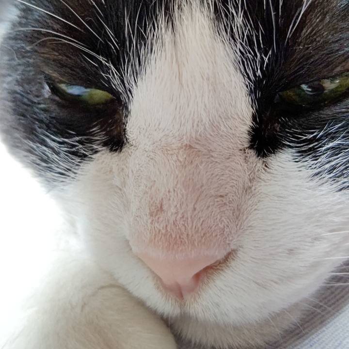 1125c52c e98c 4b72 892c 721e6f44a173 1623397006473