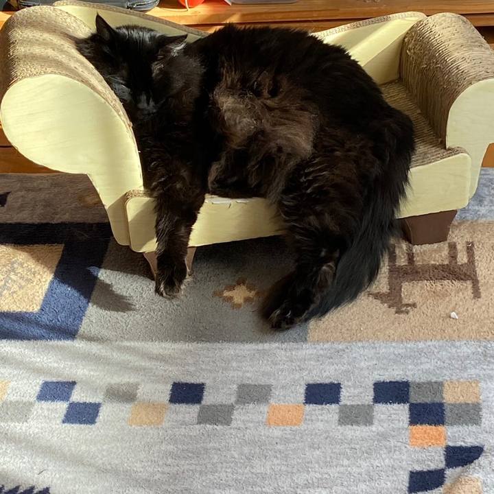 112626f2 d112 43d1 9541 04856f4b40c6 1615543583155