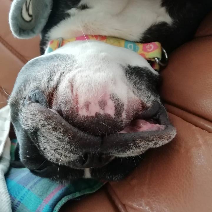 11262a7e 07fd 4d79 9333 2ac62ff9c1d8 1591071222440