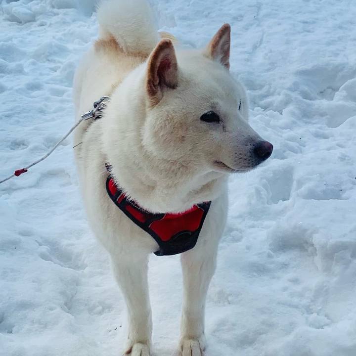 1126410a 6e09 4c29 8149 a15fe20d5fa2 1612420398471