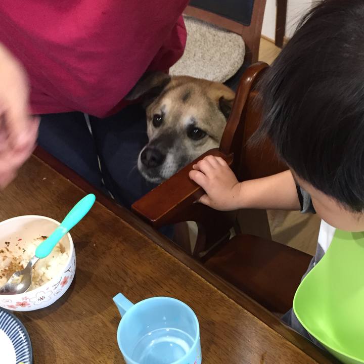 112665cf 6d73 4560 8d26 c0a5a7ffa518 1523061909147