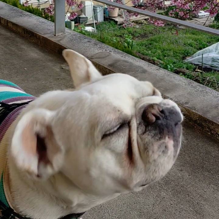 112683be ca4a 481f 88ad 2e98eadd582d 1648158088882