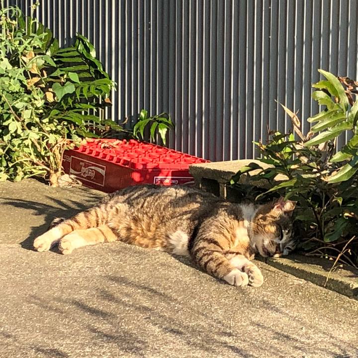 11268c1b 22b4 44cc 95d2 970a83040836 1526981188801