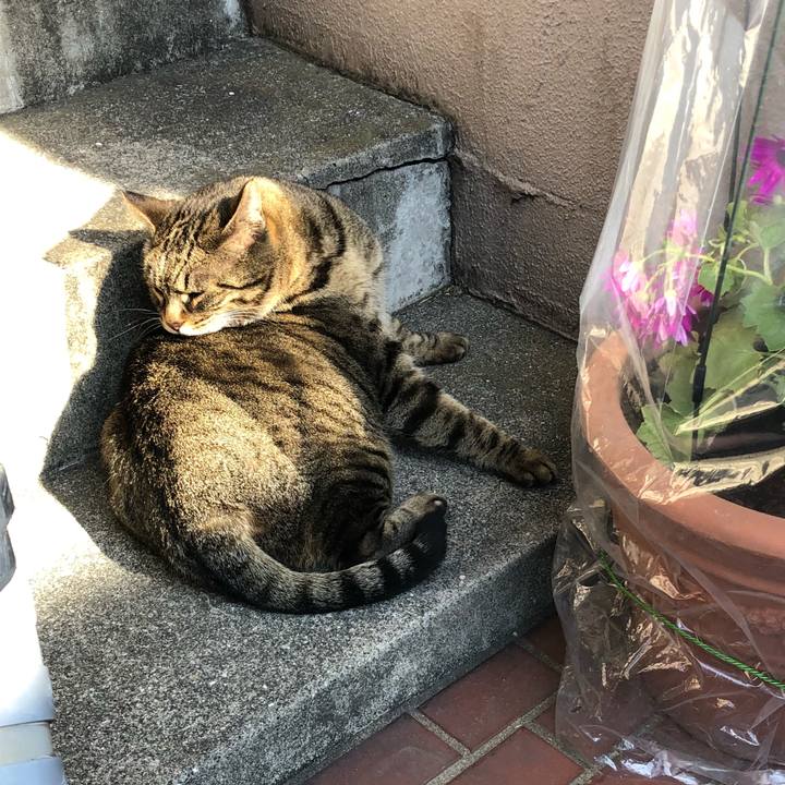 11269fc2 4337 4885 b041 601236c05e91 1518521170029