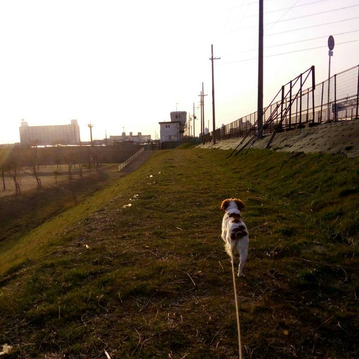 1126a9ad 7bf8 4bb1 a06e 0d60c398632a 1519733307189