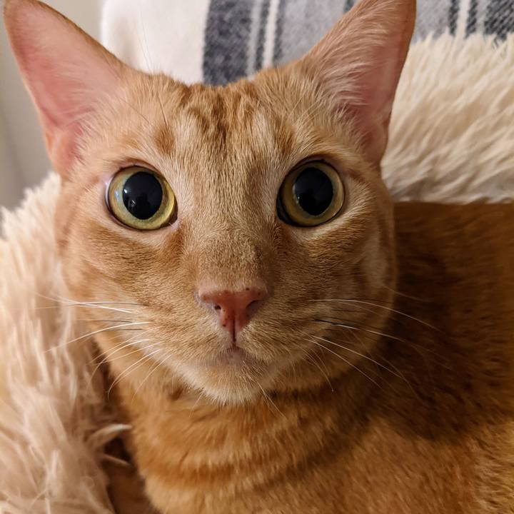 1126c09b d418 4864 ad32 40c4be4c185a 1664190015795