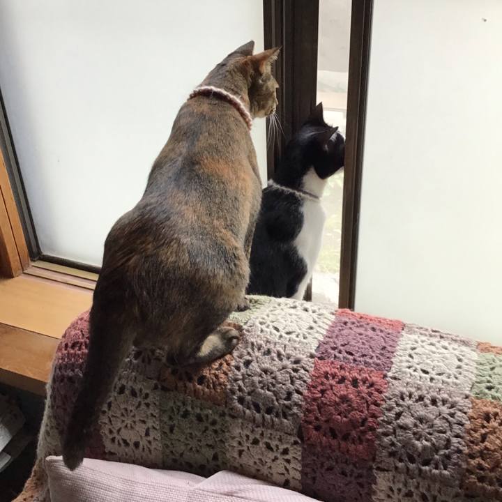 1126c96e 276b 4aa5 a40b 51066386c66d 1655170603955