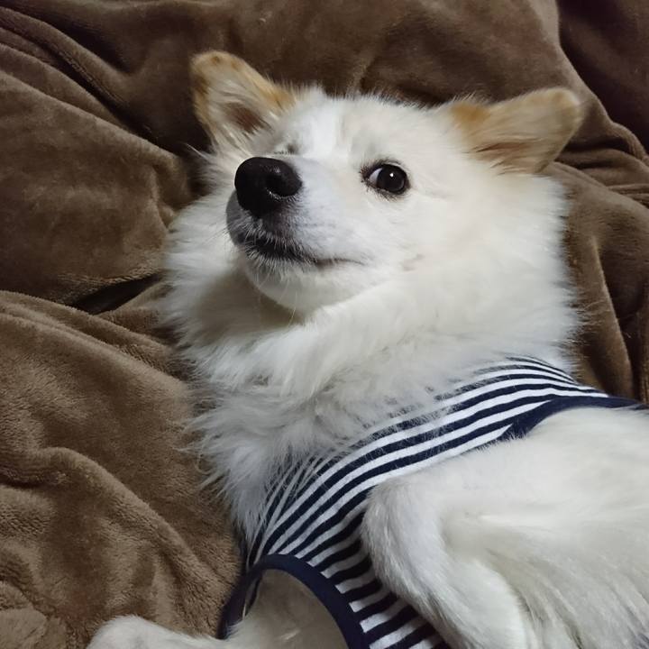 1126da34 dfb1 47e3 8572 543579ab7dfe 1508014336228