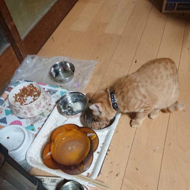 1127210c e61c 4e23 aa06 44a701639134 1635500757143