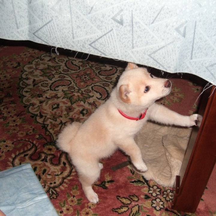 1127320f d4b8 4aab 9707 a4659fe42218 1638429396399