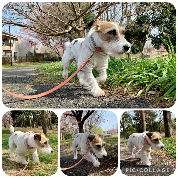 112776bd 51af 4bba a79f aa7360f66fb1 1615966334048