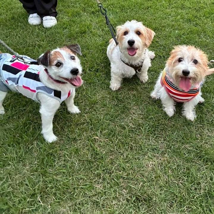 11277932 1d22 4acc 954e 194ddb9325eb 1757940272905