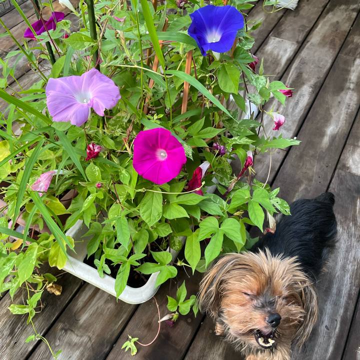 1127d9fb a3be 48fe 8b8f 6118d06499b8 1725433386740