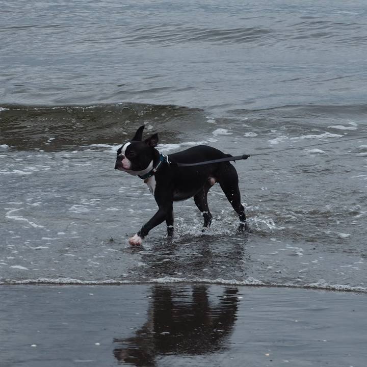 1127db5c f35a 494f b3d7 9b06ee08f31d 1561175833819