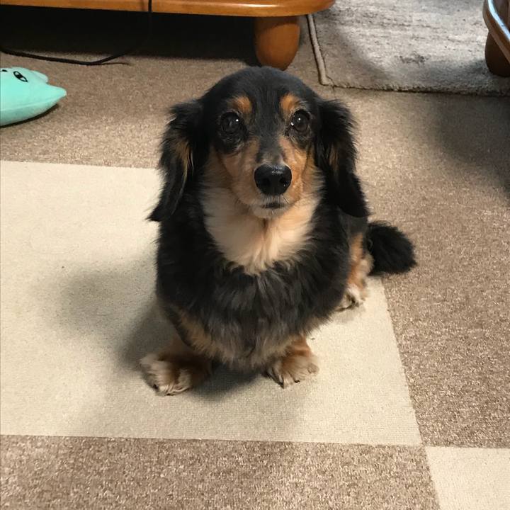 1127eae4 bf35 4169 83f9 e10a2a76d900 1512684038344