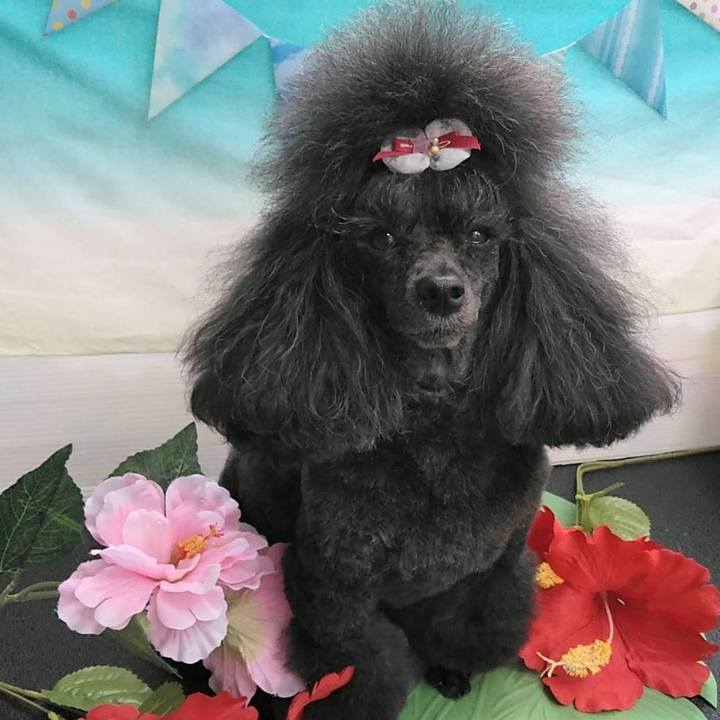 1128045f cfb3 4c35 b590 62ccb51a1154 1657596207767