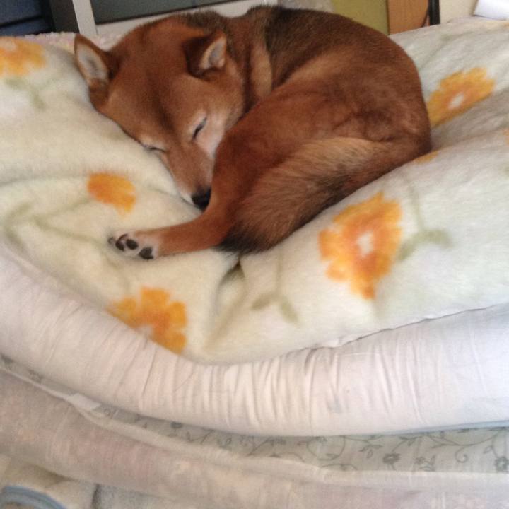 11285a3d 41ce 464e 8ff5 ceadc44fa3f6 1514184903449