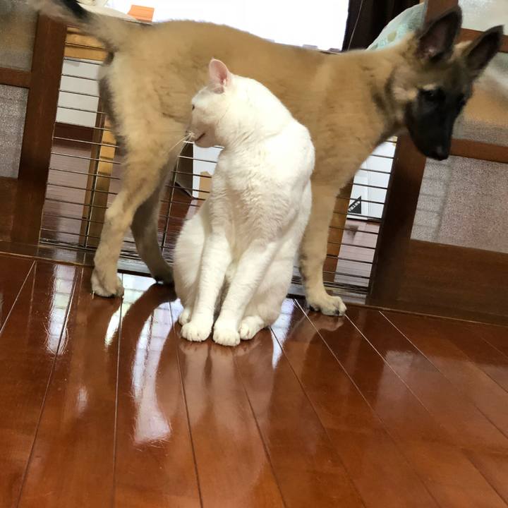 112896d7 3d0e 4753 bc06 138fb83c7848 1531657750479