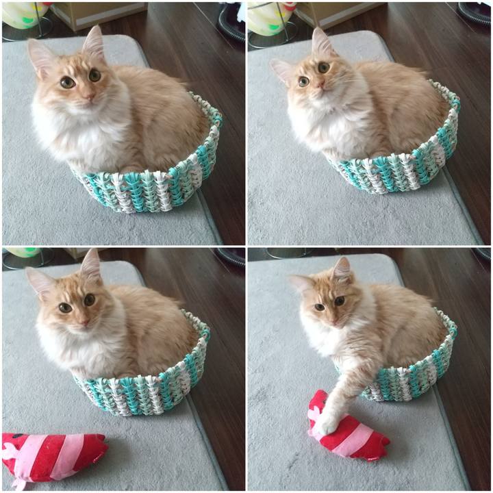 1128aeb0 a9b7 4981 a0bf 4361dce267be 1622949991871