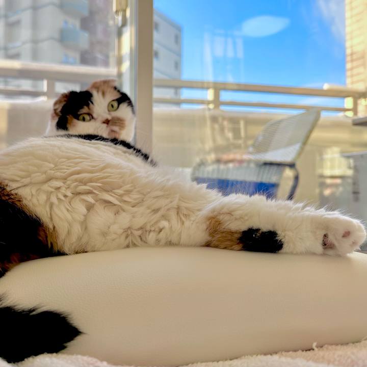 1128f414 15db 4817 b8fe e097f8789524 1703635542846