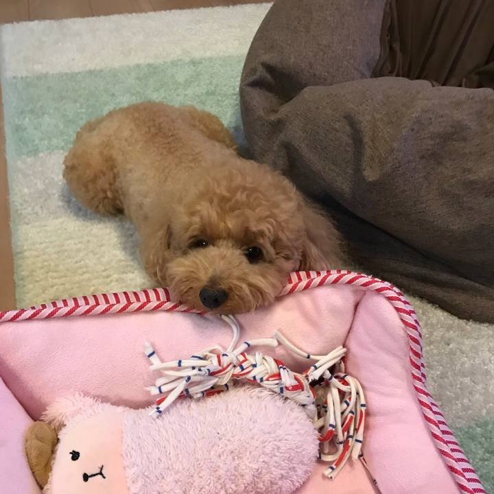 11290279 9705 4467 9a1d 3b378c8d549f 1530186951073