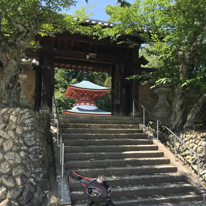 11290691 30c0 41d9 98f8 5c6a1359bba2 1529200185844