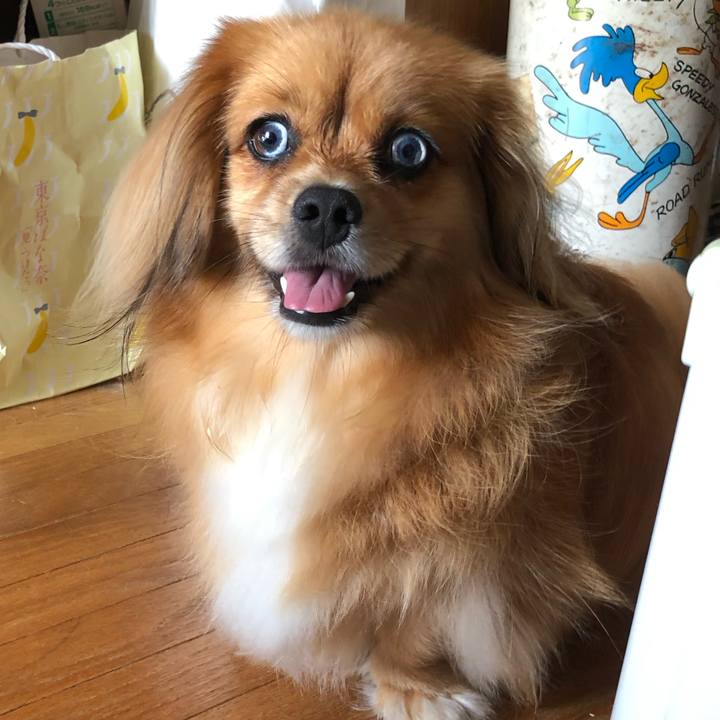 112912ca ac6c 4f9a ad4a a65745405b8c 1566689120375