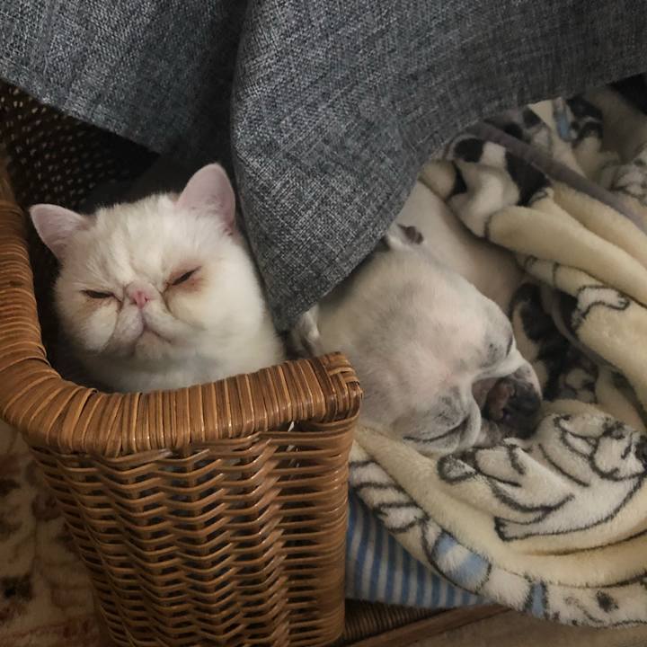 11293b48 3b0d 40a2 85dd 19e396d44da8 1587548307042