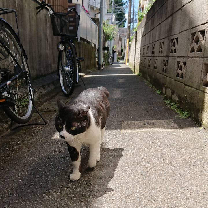 11296221 2d46 46a7 9dbf b99e38a17158 1526786533829