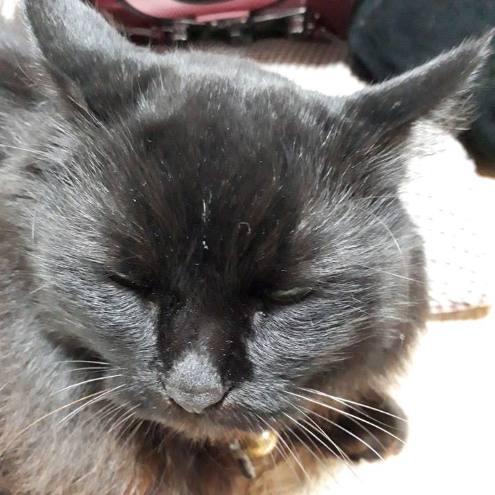 11297543 88e7 4d39 8c33 f4584b382913 1542800910194