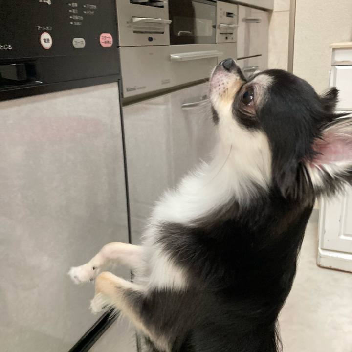 11299cac 74eb 4724 9e22 77938d0fd22e 1620563900535