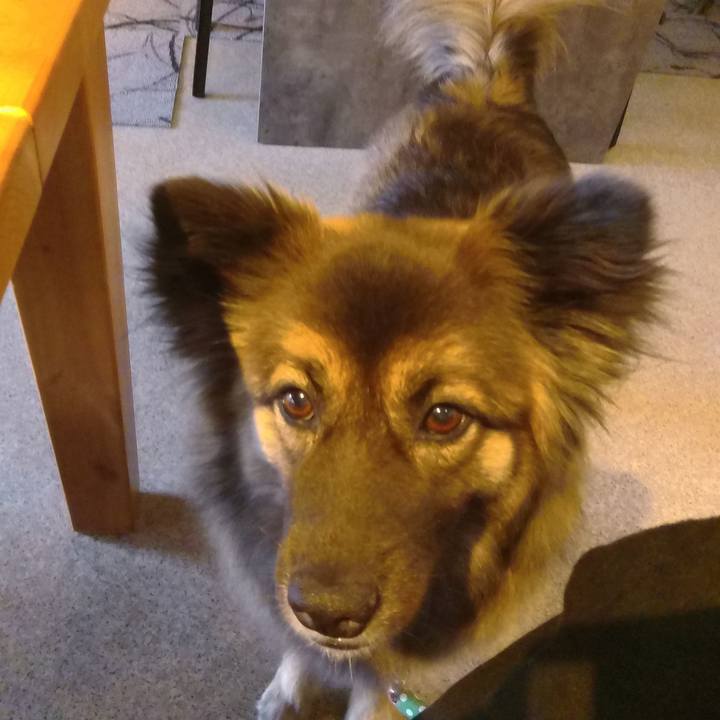 1129d3bf 39fa 4670 a5f6 9537de2883c4 1772262872143