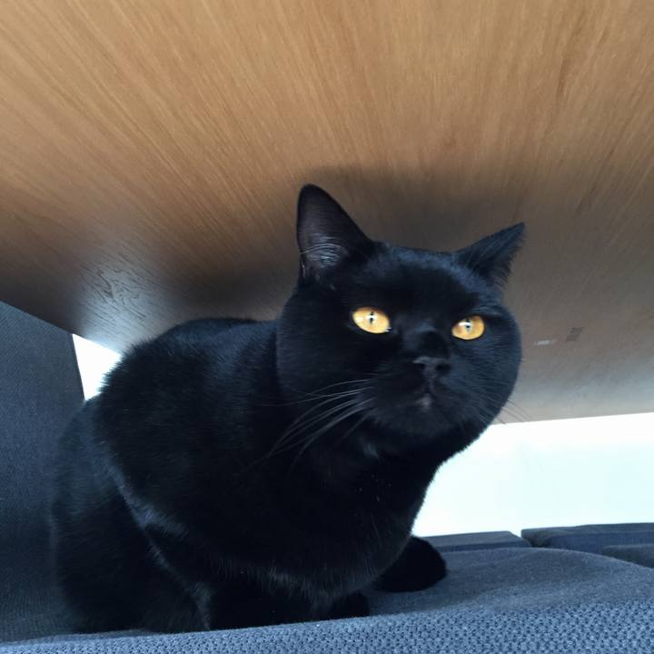 1129ef96 7667 44fd a8c4 2766ab0495bd 1545005350285