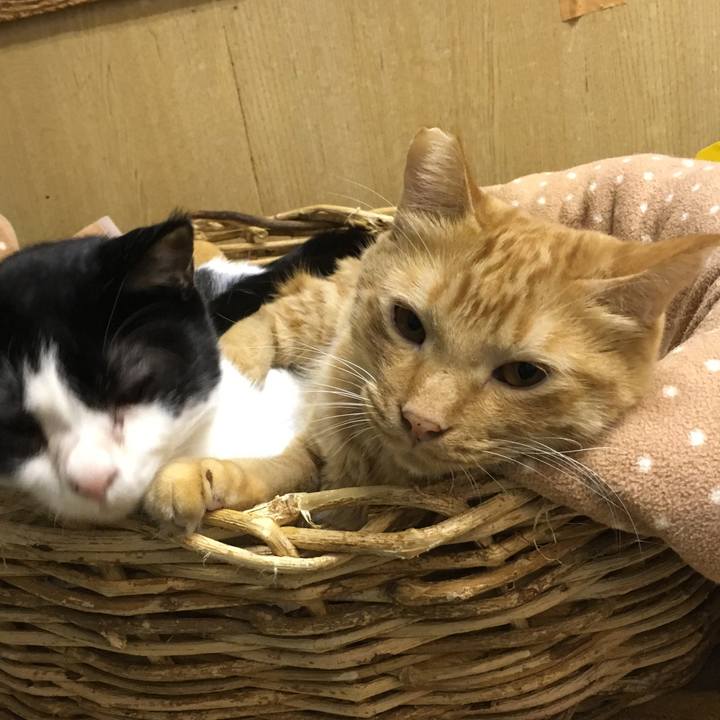 1129fcbb a17c 4049 b71f 116e0e3c12bc 1508481022446