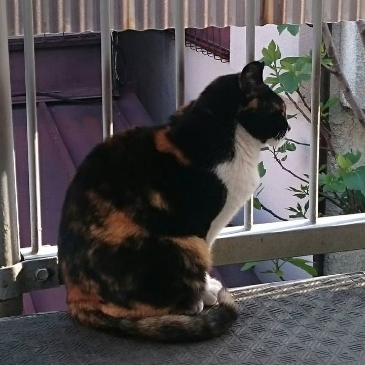 112a0549 0187 40b6 99b5 8a220b45f806 1523332088142