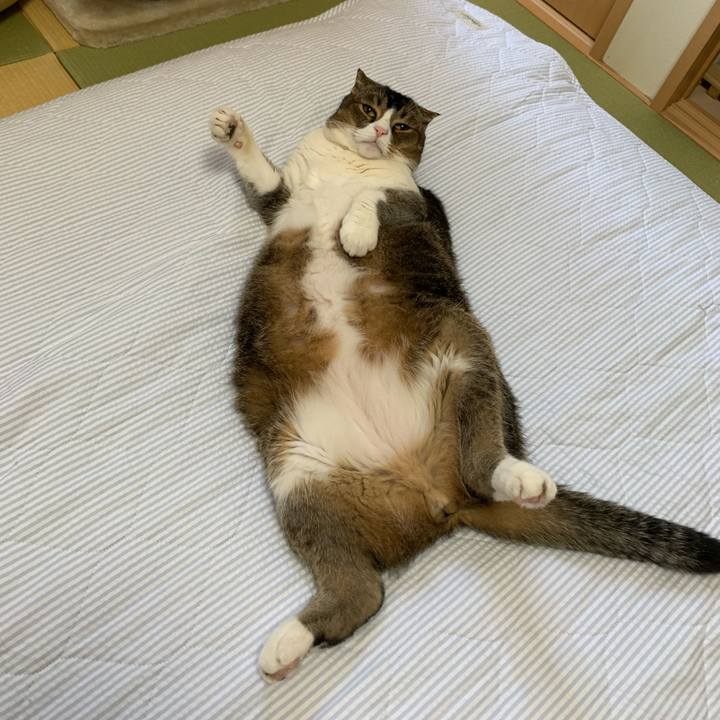 112a0e3a 99a7 4ef5 ae41 ea94314633b6 1590377389970