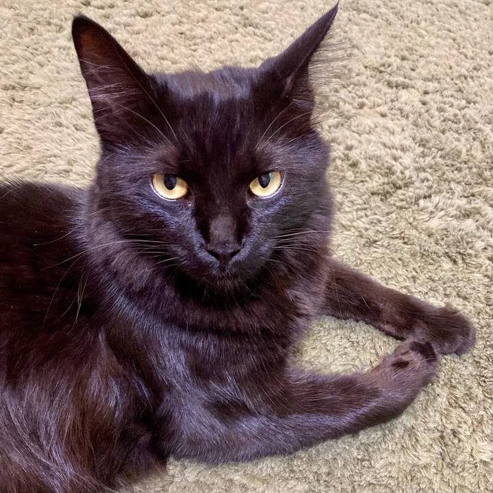 112a12d9 ddd1 4bbf a86b 5b6cd9c07d0b 1726208849728