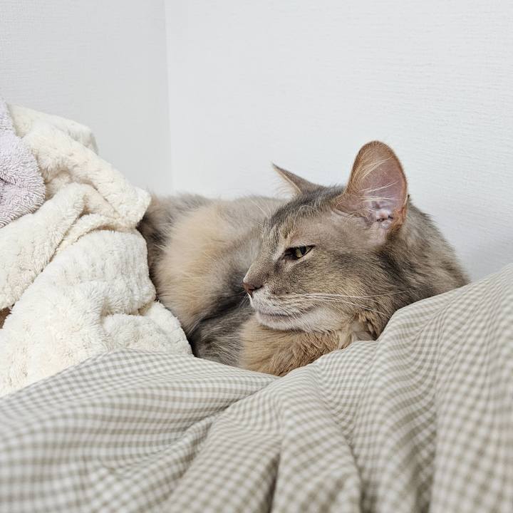 112a15b4 c0de 4dcb 97db cca79b347e23 1746752426990