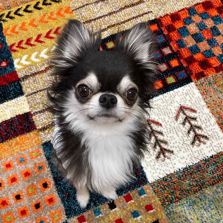 112a22cb 1987 4ebf 88ee a85c8517cc73 1679755643756