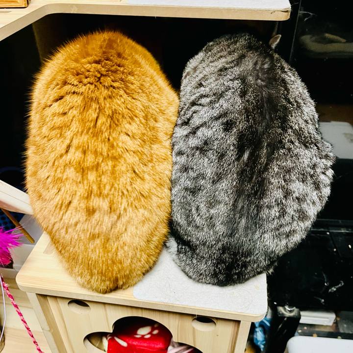 112a4ee3 d1d9 4b2b 80bc ce46b269dbe6 1772824398901