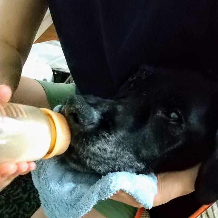 112a7ffb 8253 4e16 b22a 6c965d825f6b 1721631412047