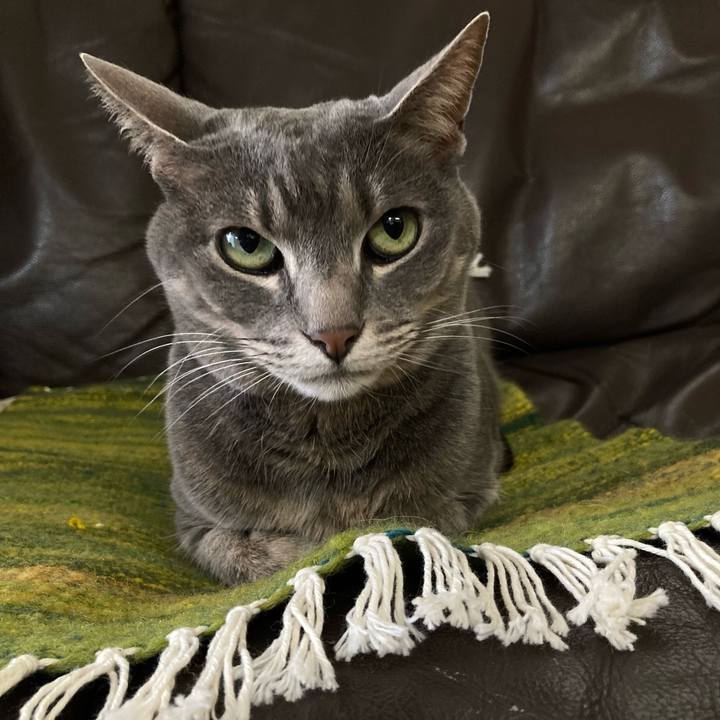 112a904a 3543 4bd9 b7d1 75a3bb4ad2c7 1648519734023