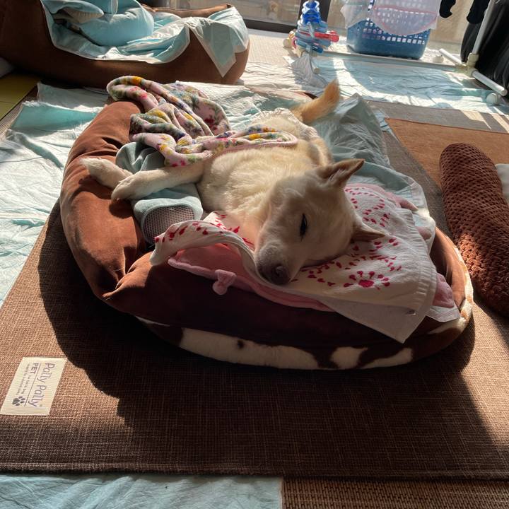 112aa3c8 0191 45b1 a667 795c6f5045e2 1672979680065