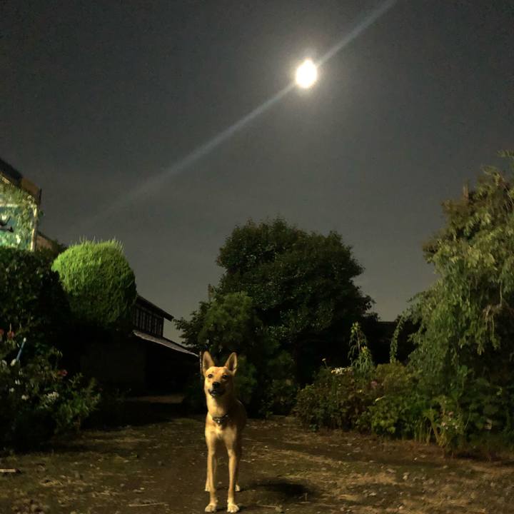 112aa912 d835 4acc 95d0 3d4c429a1a5a 1565962350012